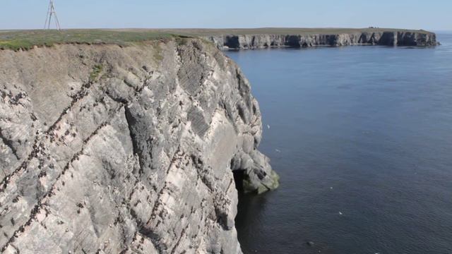 Птичьи базары Новой Земли смотреть онлайн