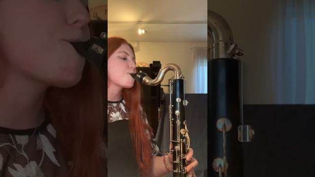 RIT Scholarship Audition - Kaitlyn O'Connell, Bass Clarinet смотреть онлайн