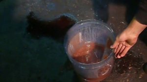 В масло АКПП попал антифриз