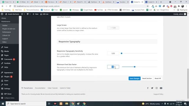 Avada Theme Options & Settings (Professional WordPress Theme) смотреть онлайн