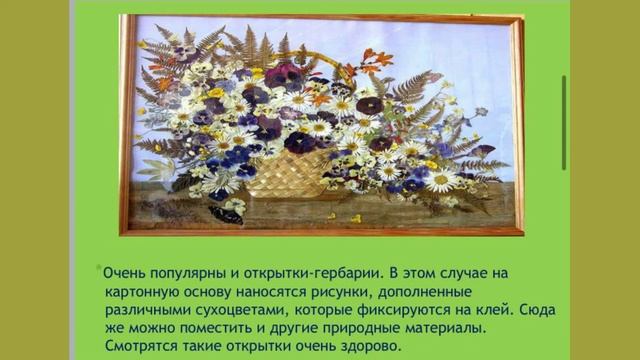Работа с гербарием смотреть онлайн