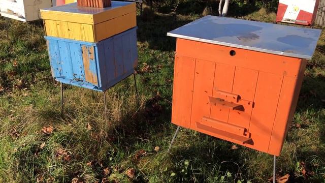 Последний облет пчел в этом году состоялся на месяц позже обычного. смотреть онлайн