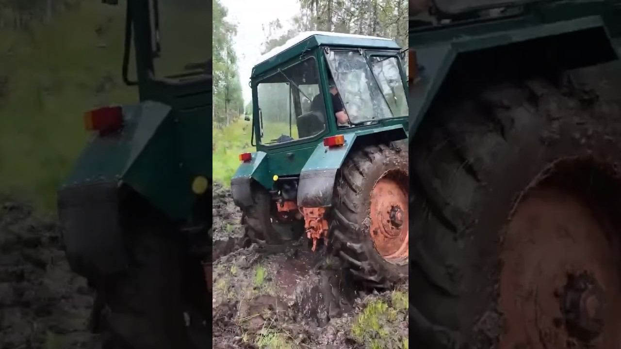 Офф-роуд Беларус-82 #tractor #беларус82 #farmer #оффроуд #shorts смотреть онлайн