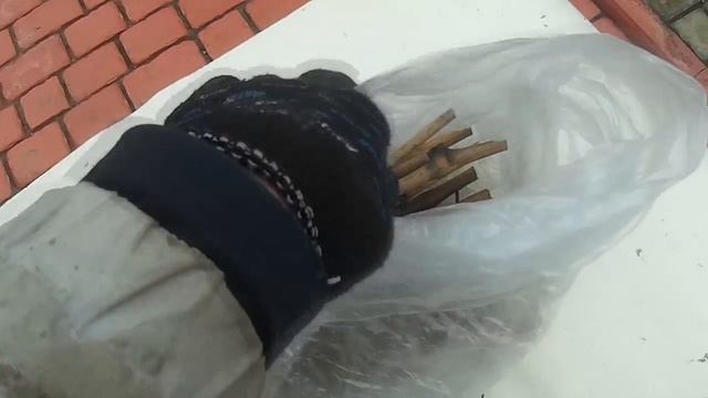 Зимнее хранение черенков винограда в подвале смотреть онлайн