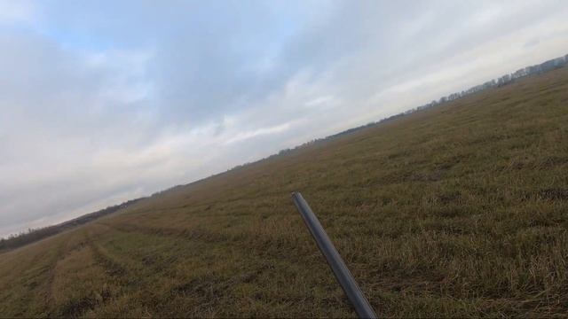 ОХВОСТИЛ ! ОХОТА НА КУРОПАТКУ С БРЕТОНОМ смотреть онлайн