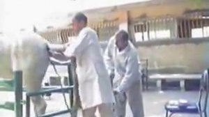 Rectal enema in horse