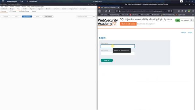 SQL injection vulnerability allowing login bypass (Video solution, Audio) смотреть онлайн