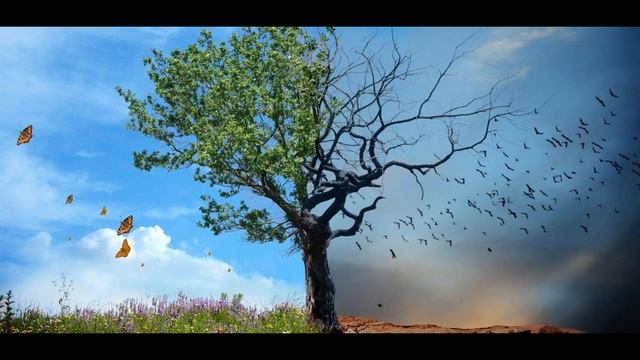 ВЕТКИ ОБЕСПЕЧЕНИЙ. Программы матричных полей. Ченнелинг #НаянаБелосвет смотреть онлайн