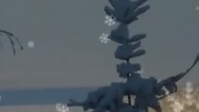 Олег Максюта  -  