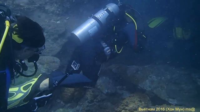 Дайвинг Вьетнам Нячанг