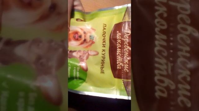 Что нужно для появления щенка в доме смотреть онлайн