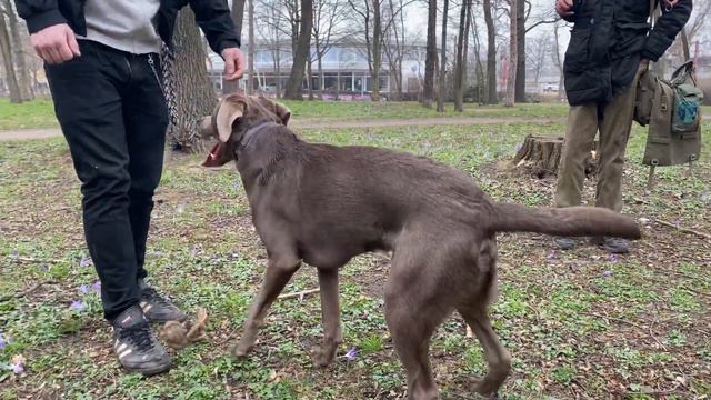 Утренняя разминка / И куда пропало лето 😳 !?! смотреть онлайн