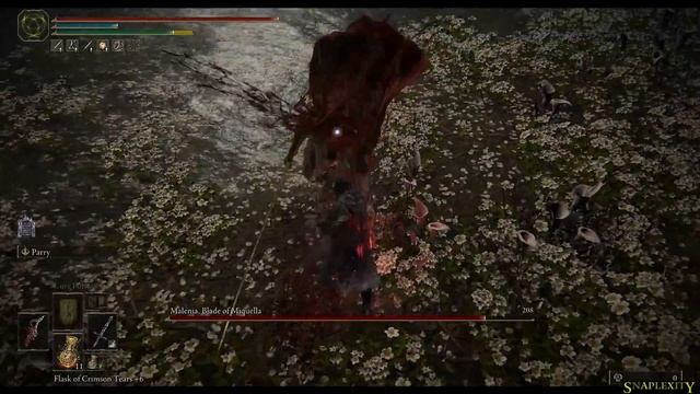 How and When to parry Malenia, Blade of Miquella with dagger (parry window/frame) [Elden Ring] [4k] смотреть онлайн