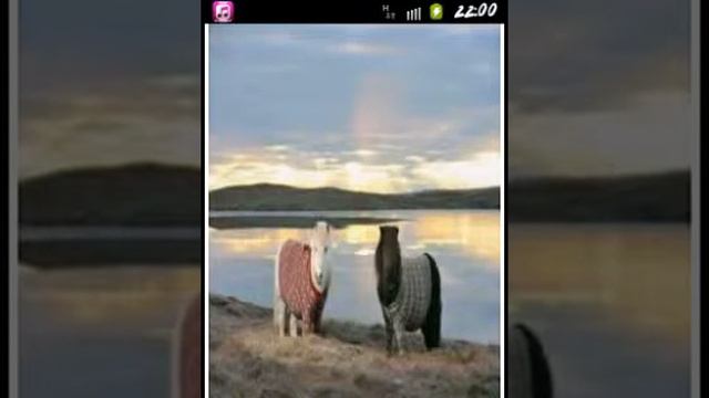 )-:/:-) ( stiller orgasm ) смотреть онлайн