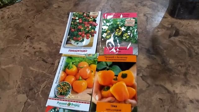 Огород на окне. Томат Пиноккио и Желтая шапочка, сладкий перчик и огурчики! смотреть онлайн