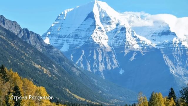 Жена в слезах вышла с палаты мужа, а случайно подслушав разговор врача обомлела... смотреть онлайн