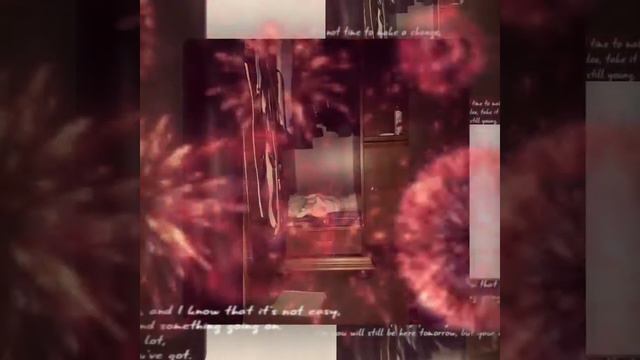 Коты, белые, кошки, Ангорскся