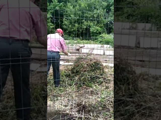 Подготовка сена смотреть онлайн