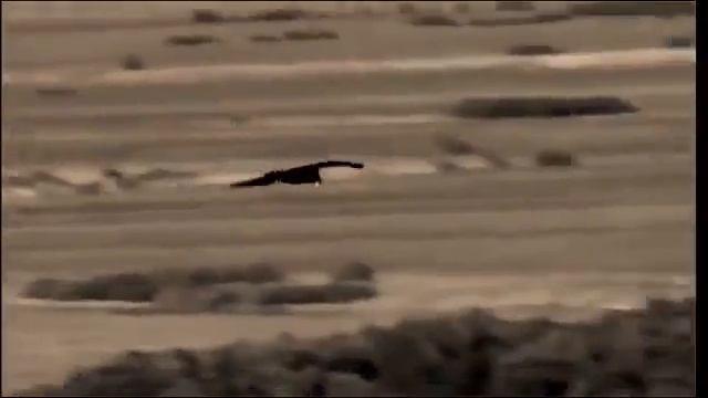 Ураанхайдар