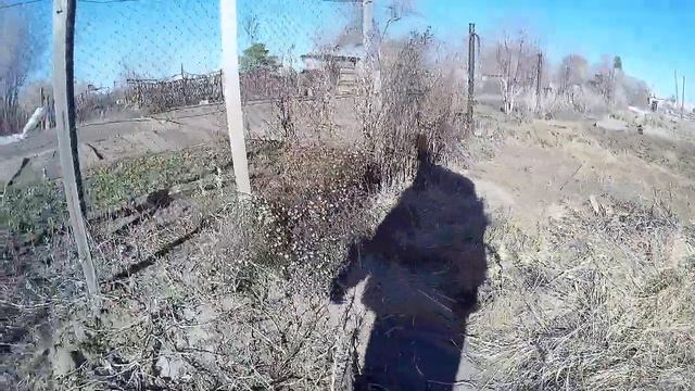 Прогулка по саду-огороду смотреть онлайн