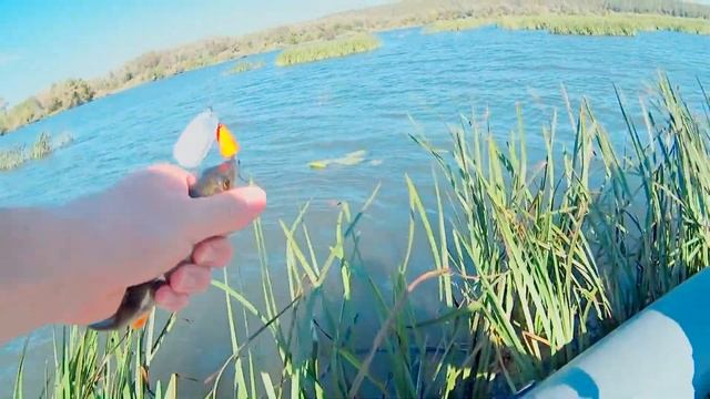 15 09 2017 Рыбалка в Васильсурске