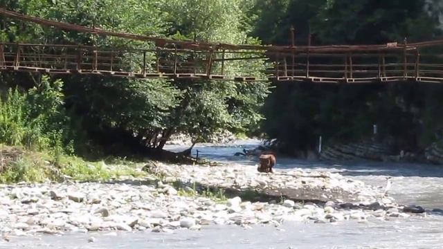 Река у села Шатой. смотреть онлайн