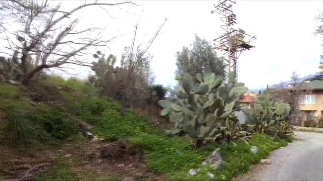 Алания. Дешево ли отдыхать в Турции? Обзорная по Алании