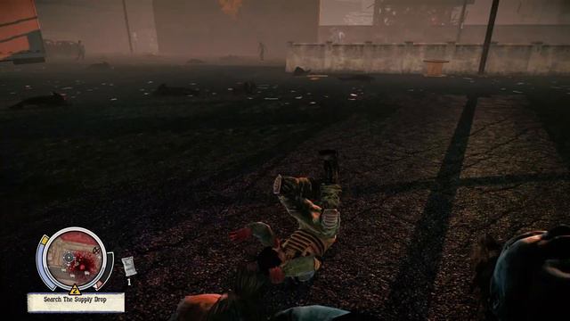 State of Decay: CLEO CRAZINESS смотреть онлайн