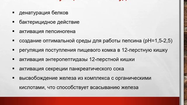 Лекция. Переваривание белков.