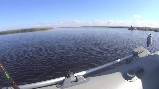 07_10_2019_ХанкайскийХищник