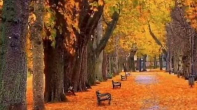 А.Дементьев «Все будет также после нас» смотреть онлайн