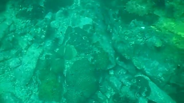 Дайвинг в Паттайе 2 смотреть онлайн