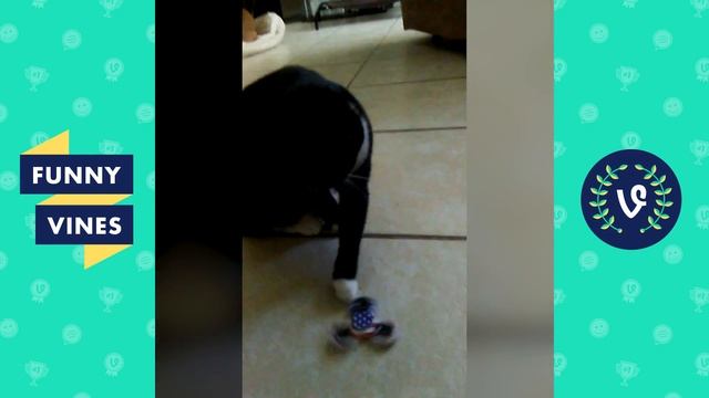 FIDGET SPINNERS vs. PETS Compilation 2017 | Funny Vines Videos смотреть онлайн