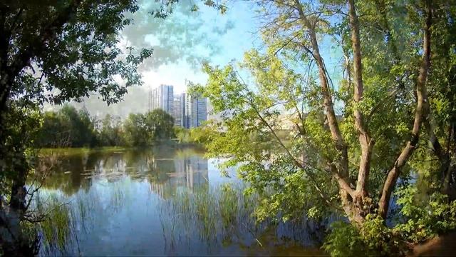 Озеро Шишига. Озеро Паршино г. Самара 2020 год. смотреть онлайн
