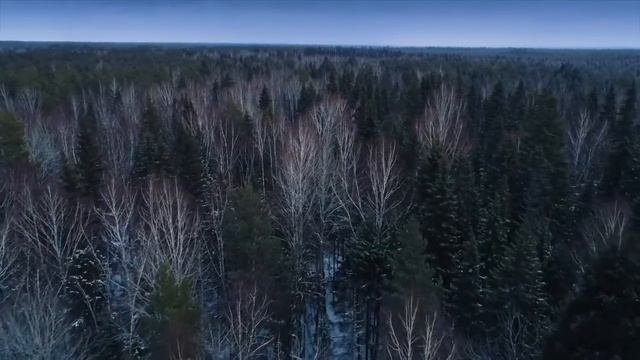 всероссийский урок Арктики смотреть онлайн