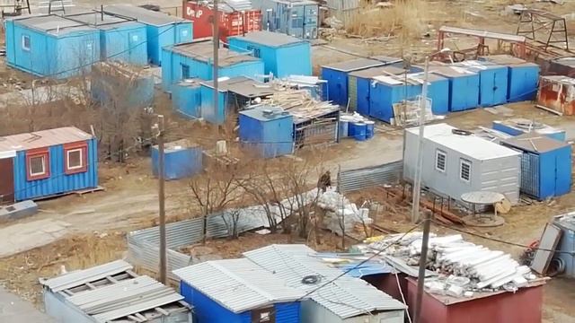 Охранник стройки потчует обедом щенков бродячих псов - 2019-04-15 - 14:00 смотреть онлайн