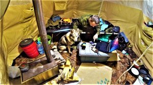 “ТАЙГА” МОРОЗЫ -20! ИЗ-ЗА ВСЕХ СИЛ СТРОЮ ИЗБУ! ЖИВУ В ПАЛАТКЕ, ГОТОВЛЮСЬ К НАСТИЛУ КРЫШИ.