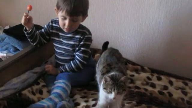 Зачем нужен котик))) смотреть онлайн