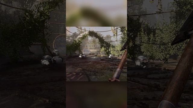 Я гусь я до тебя смотреть онлайн