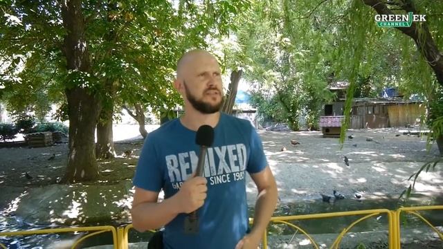 Папа отвечает на вопросы... №21 Анекдот про альтернативу - Анекдоты от Новицкого смотреть онлайн