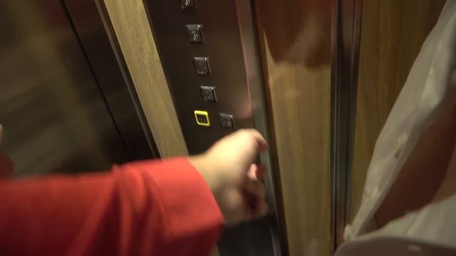 LAN PARTY WITH ANOMALY AND FRIENDS 2019 (PART 2) смотреть онлайн