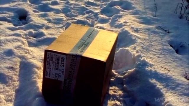 В кафе пришла бездомная кошка… Её новорождённым малышам требовалась помощь смотреть онлайн