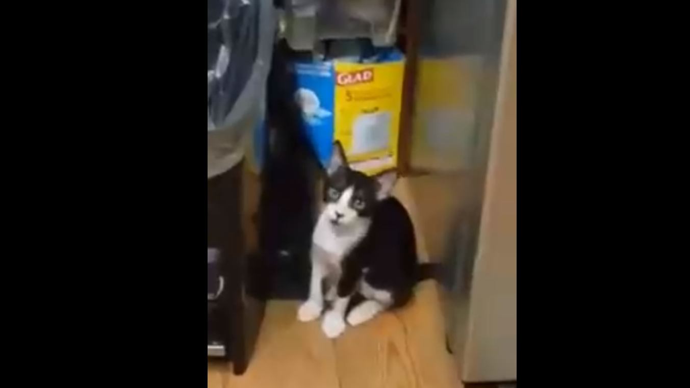 вот невезуха смотреть онлайн