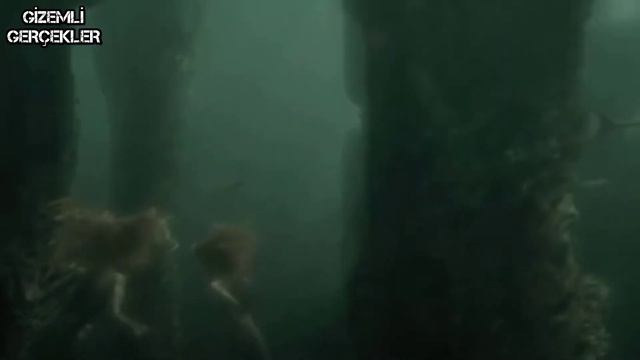 Deniz Kızı Efsanesi | Gerçek Deniz Kızı Görüntüleri