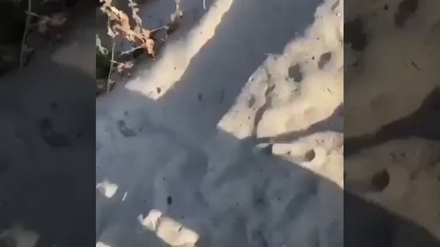Американский Пикап смотреть онлайн