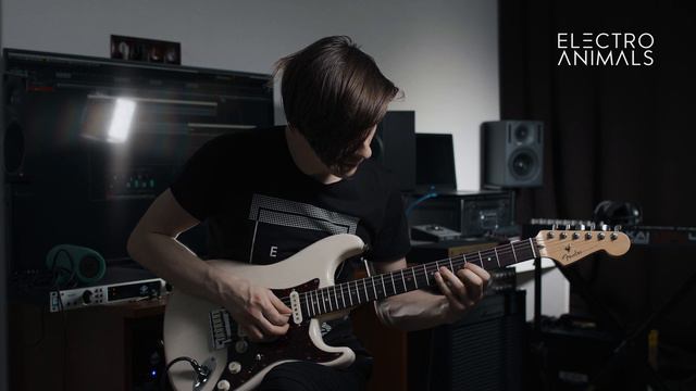 Electro Animals Standard Wolf Pickup Set And American Deluxe Stratocaster Demo 1 смотреть онлайн