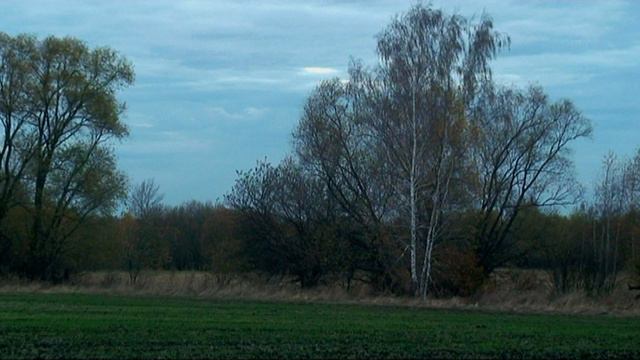 Vangelis.Prelude.Поздняя осень.Вечер.