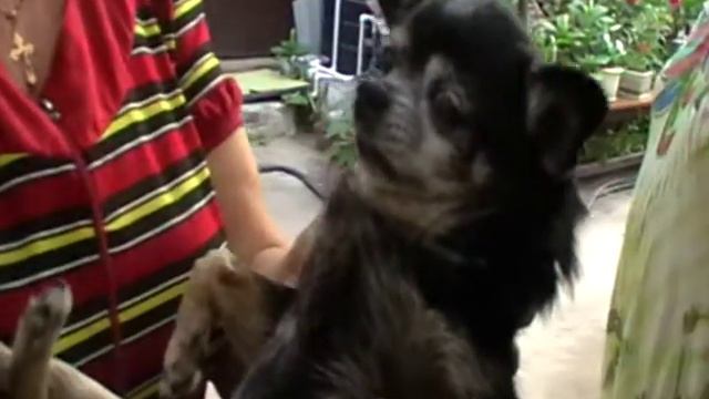 ЕЙСК ДУСЯ С НАТАШЕЙ ЕЙСК 2018 ИЮНЬ смотреть онлайн