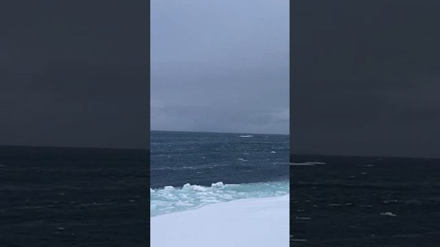 crazy WoW Open & High water Chukchi Sea please like & subscribe смотреть онлайн