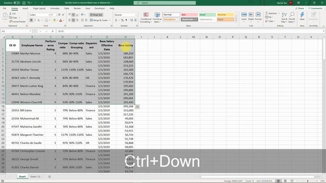 How To Quickly Insert, Remove And Reformat Blank Rows In Data Table